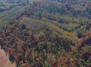 000 Jim Wilson Rd LOT B, New Concord, KY 42076