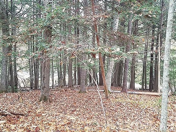 View Near River