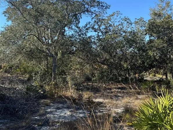 NE 123rd Ct, Archer, FL 32618