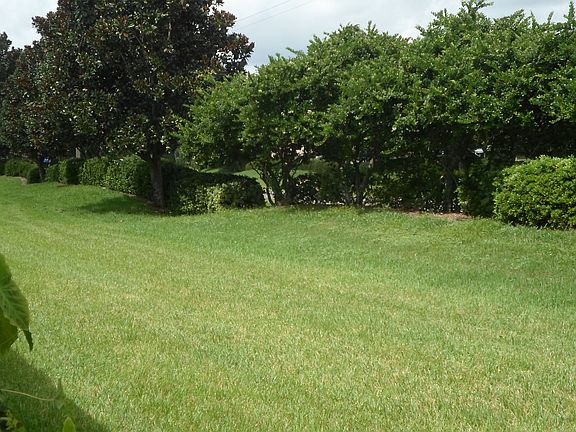 3rd image of 942 Villeroy Greens Dr