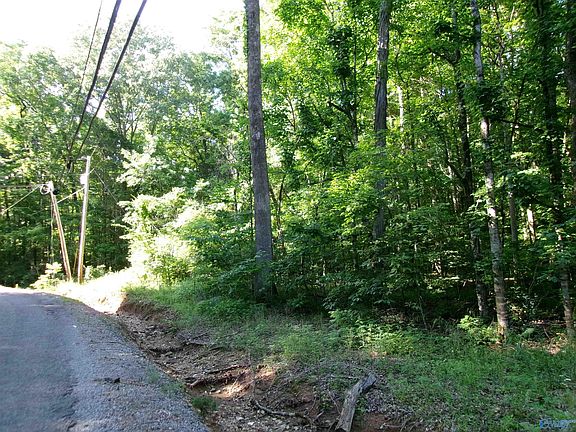 5th image of County Road 531