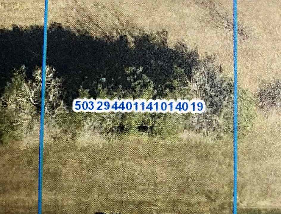 1st image of 292 Juniper Ln
