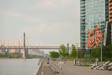 Rented by The Agency