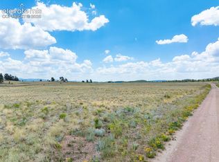 74 Wrights Ln, Guffey, CO 80820
