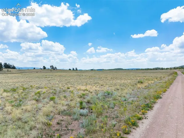 74 Wrights Ln, Guffey, CO 80820
