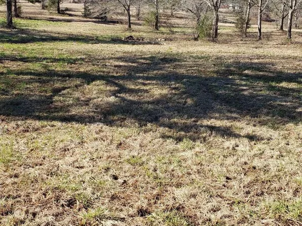 141 County Road 328 Lot 1, Maplesville, AL 36750