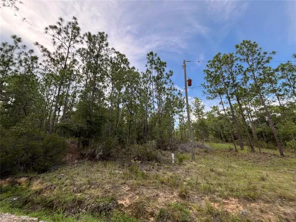 124 New York Ave #6, Interlachen, FL 32148