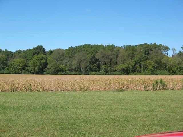 2nd image of 2815 Morris Ferry Bridge Rd