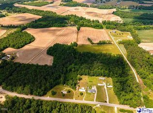 Tbd Meander Dr, Timmonsville, SC 29161