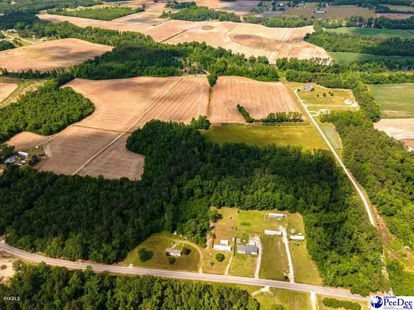 Tbd Meander Dr, Timmonsville, SC 29161