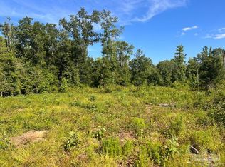 LOT 5C Cotton Lake Rd, Molino, FL 32577