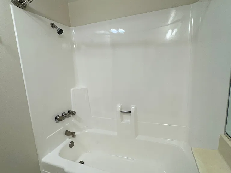 Master Shower/Tub