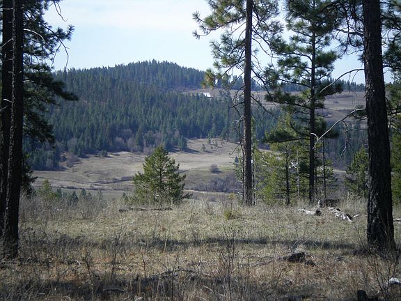 4th image of 2975 Cottonwood Creek Rd #F