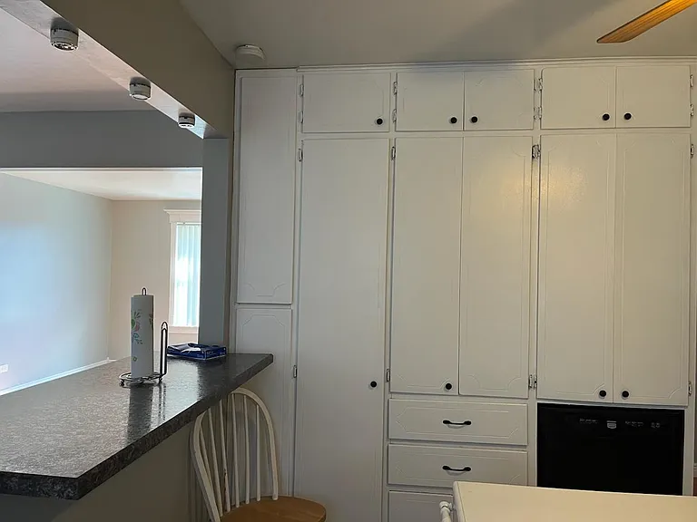 Kitchen cabinets