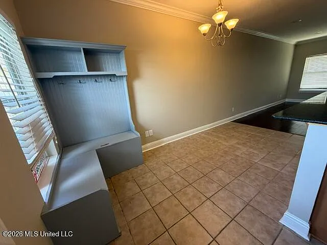 1282 Tropical Cv — Photo 2