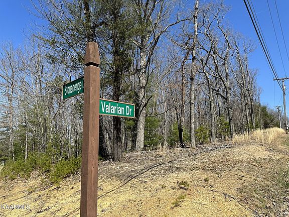 4th image of 101 Valarian Dr #30