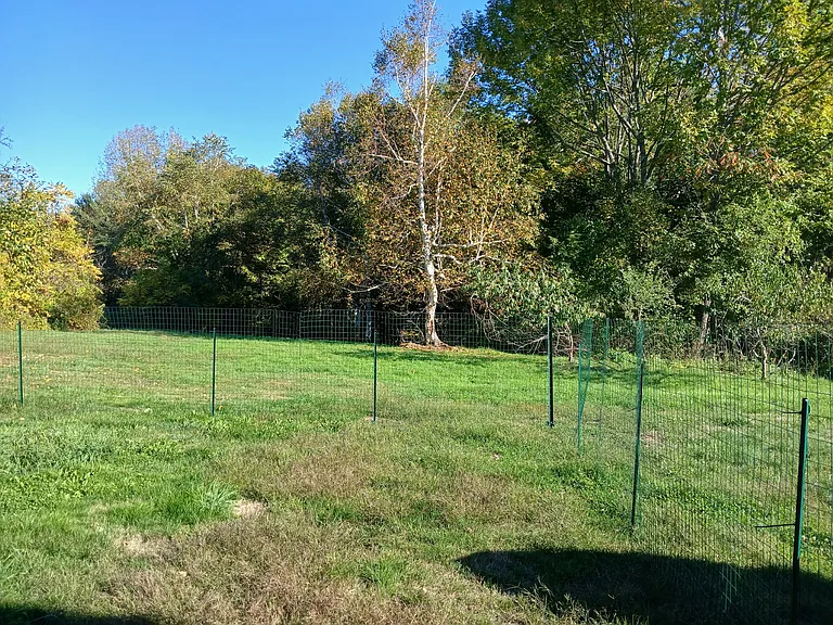 back yard