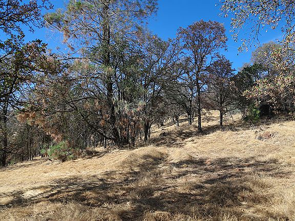 3rd image of Township Road