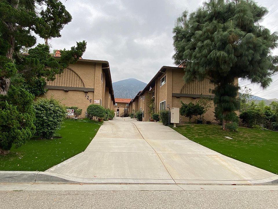 Frond of 125 Esperanza. Mountain views.