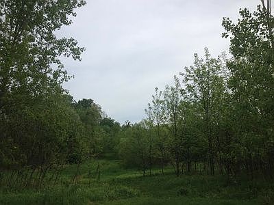 2nd image of 5303 N Fox Hollow