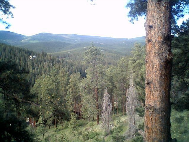 SW view from deck 