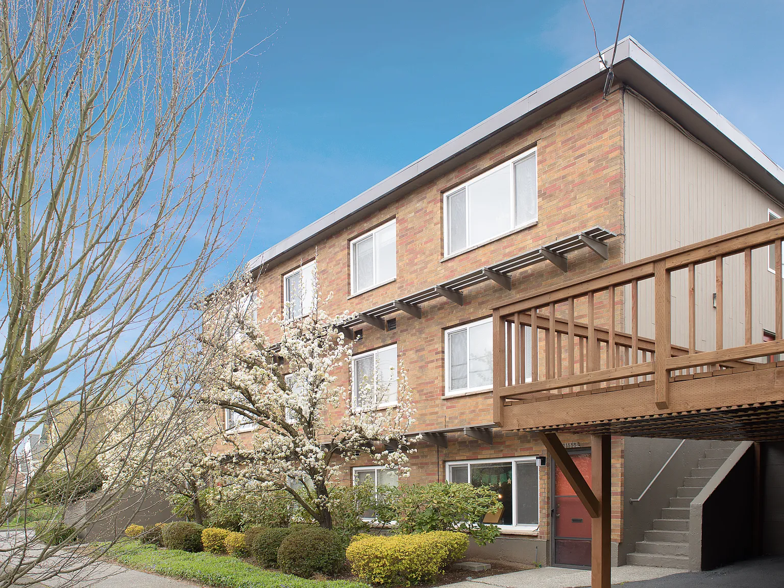 1 bed, 500 sqft, $1,595 — Photo 3