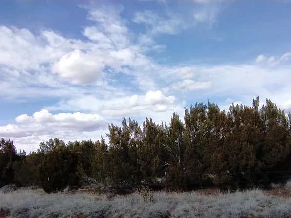 1939 Bourdon Ranch Rd, Show Low, AZ 85901