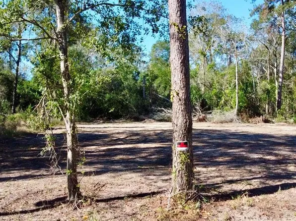 21070 Idle Glen Roadway, New Caney, TX 77357