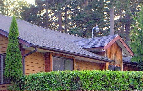 1st image of 431 Redwood Dr
