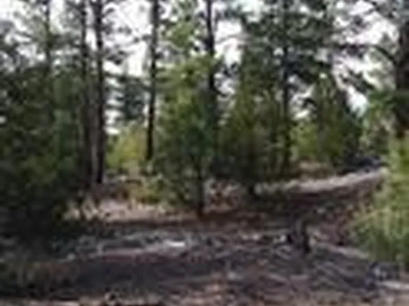 13 Tract 2 Costilla Place, Alamosa, CO 81101