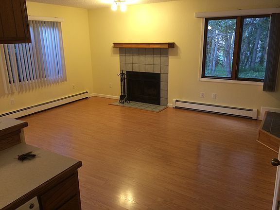 Living Room and Fireplace