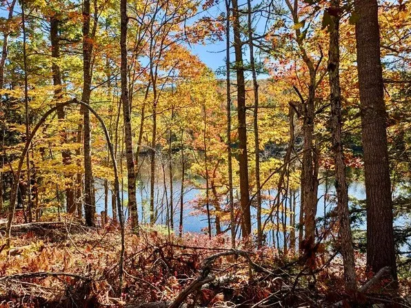 00 Brownfield Road, Hiram, ME 04041