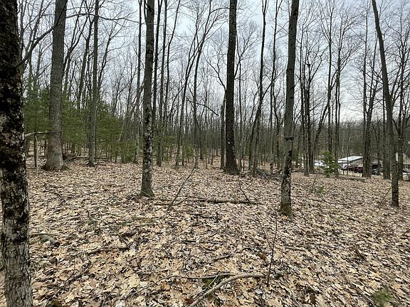 5th image of V/l W Deer Track Trl #4