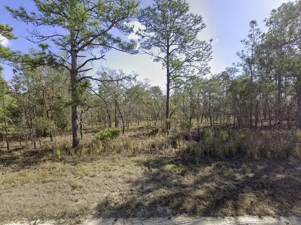 15222 Wine Drive, Weeki Wachee, FL 34614