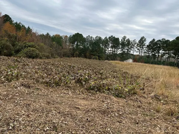 0 Liverman Mill Road, Ahoskie, NC 27910