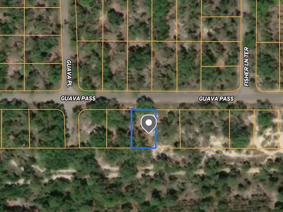1st image of TBD GUAVA PASS LOT 27