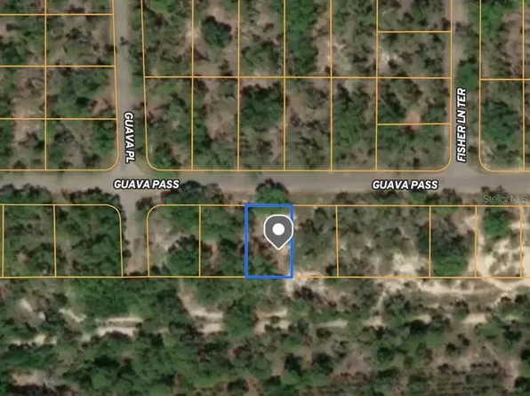 Guava Pass Lot 27, Ocklawaha, FL 32179