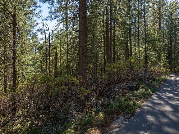 5th image of 3003 Black Bear Dr