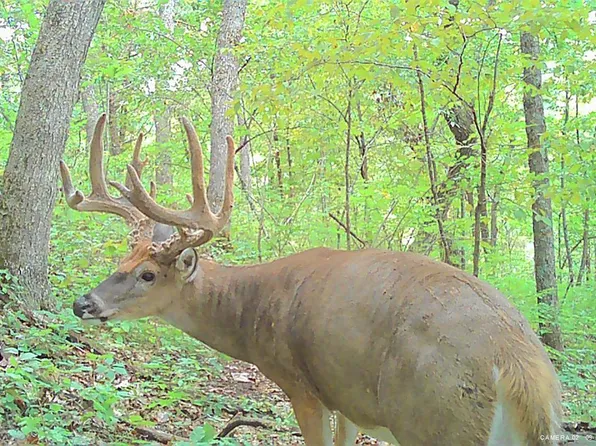 43.62 Ac County Road C, Soldiers Grove, WI 54655
