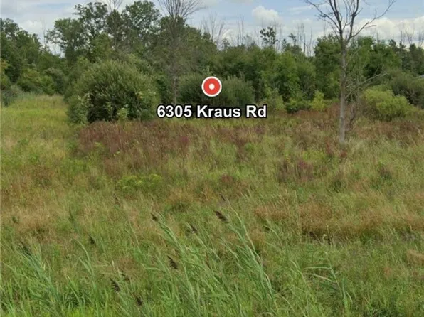 6305 Kraus Rd #28, Clarence Center, NY 14032