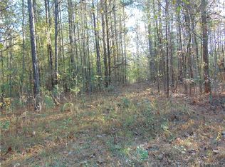 Lebanon Rd, Spring Grove, VA 23881