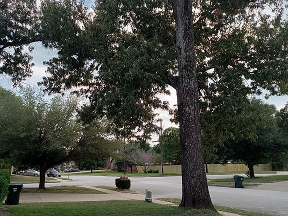 Beautiful Safe Neighborhood