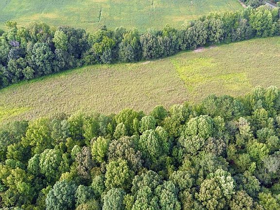 3rd image of 0 Lower Big Sandy Rd