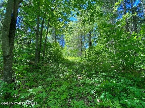 5th image of 18605 Natures Edge Dr