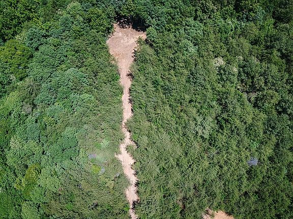 4th image of TRACT 2109 Riddle Rd #D