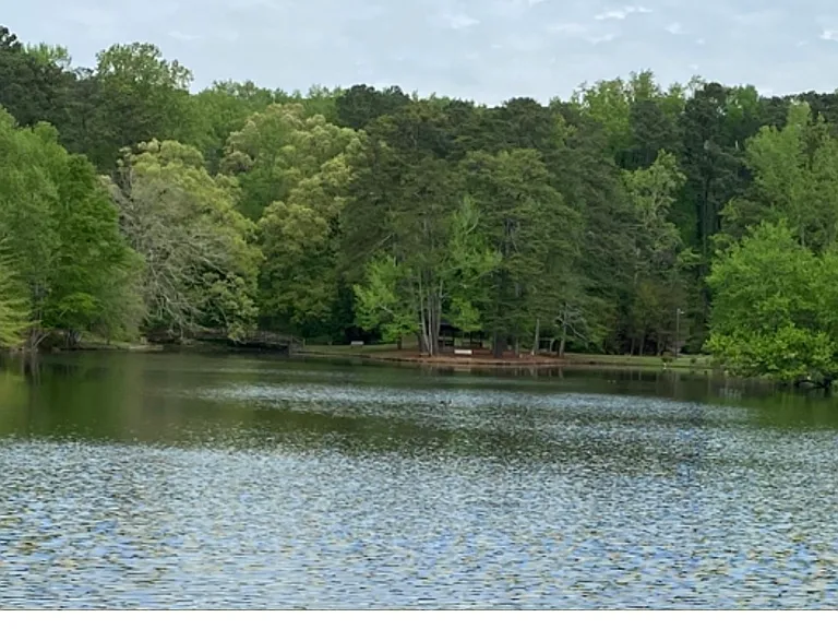 81 Hampshire Ct — Photo 43