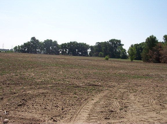 5th image of 10348 Us Highway 50