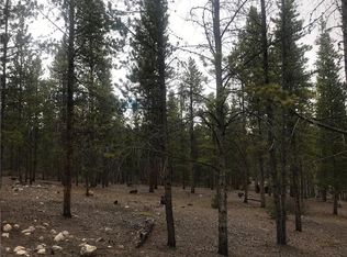 179 Massive Dr, Twin Lakes, CO 81251
