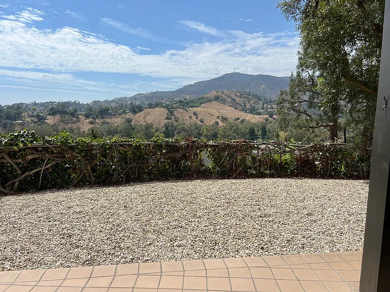 PATIO VIEW