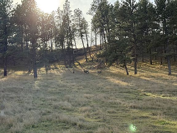 3rd image of 404 Ponderosa Ave